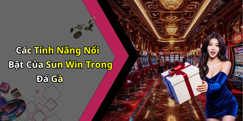 Các Tính Năng Nổi Bật Của Sun Win Trong Đá Gà